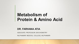 Amino acid metabolism Transamination In Bangla [upl. by Niven]