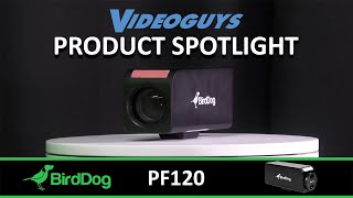 BirdDog PF120 1080P Full NDI Camera with 20x optical zoom and HDMI Product Spotlight [upl. by Ahsimed779]