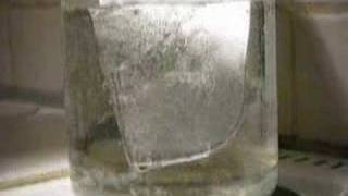 roses metal melting in boiling water part 1 [upl. by Pare864]