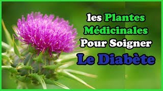 Plantes Médicinales La Plus Efficace Pour Soigner Le Diabète [upl. by Mailand]