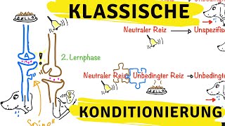 Klassische Konditionierung nach Pawlow  Was geschieht hierbei im Kopf [upl. by Liagibba]