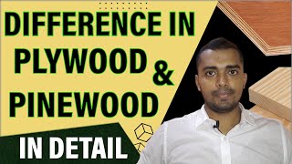 PLYWOOD VS PINEWOOD  Difference in Plywood and PINEWOOD  Which one is better for Furniture Use [upl. by Beichner904]