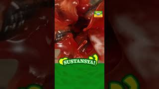 Mega Sardines TV Ad 2H 2024 15s Philippines Cebuano Version ST Shorts [upl. by Elletnahs]