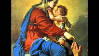 Salve Mater Misericordiae  Catholic Song of Praise to Mary [upl. by Elman]