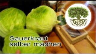 Sauerkraut selber machen Kraut milchsauer vergären lassen  Naturrezepte [upl. by Arahc88]