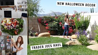 Daily Vlog Garden Update Grocery Haul Trader Joes amp Costco Fall Decor  Kendra Atkins [upl. by Andee342]