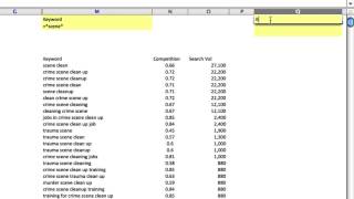 How to Use Advanced Filters In Excel [upl. by Godart]