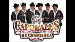 Los Caporales De Chihuahua La Gallinita Cumbia [upl. by Jadda719]