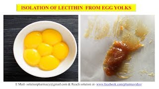 Isolation of Lecithin from Egg Yolk  Phospholipid From Egg Yolk  Lecithin Isolation  Phospholipid [upl. by Eart]