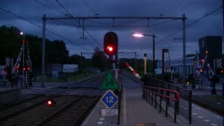 Spoorwegovergang DriebergenZeist  Dutch railroad crossing [upl. by Ylrae202]