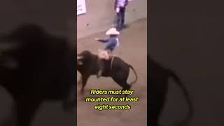 Wade Leslie and Wolfman Made The Perfect 100 point Bull Ride youtubeshorts life [upl. by Papert896]