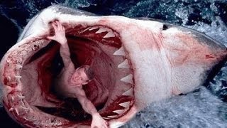 Les animaux de la mer en danger documentaire complet [upl. by Addiel351]