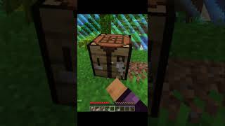 Minecraft But control the border with xpadvancement minecraft viral shorts [upl. by Jr]