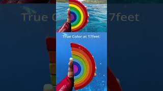 Underwater color test at 40ft12m 🎨 DJI Osmo Action 5 Pro 🎬 roamtobewild7801 [upl. by Notreb]