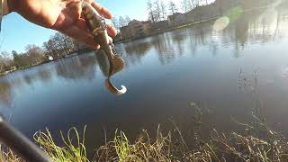 test Rapala XRap Otus [upl. by Imeaj]