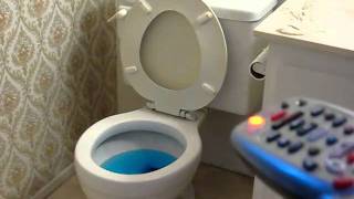 Remote Controlled Toilet Flushing System [upl. by Ynohtnad]