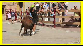 POZUELO DE ARAGÓN ZARAGOZA TARDE VACAS EN CALLE SABADO 29 JULIO 2023 GANVIRGEN DE SANCHO ABARCA [upl. by Araik]