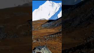 Highest Unclimbed Peak in the World shorts himalayas geography facts bhutan [upl. by Assiruam730]