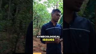 Traditional Medicinal Plants in Kerala ytshortsindia shortsyoutube keraladiaries travel [upl. by Nayve430]