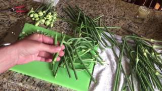 How to Prepare Garlic Scapes for Cooking  Love Your Land [upl. by Durston500]