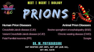 Prions neurodegenerative MAD COW disease scrapie  misfolded proteins  BSE disease CJ disease [upl. by Damarra19]