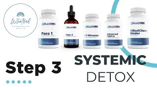 CellCore Step 3 Systemic Detox [upl. by Jenness]