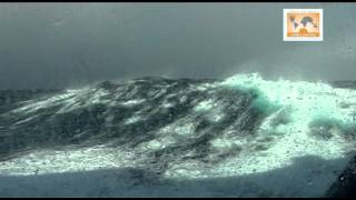 Antarctica Crossing The Drake Passage [upl. by Ardied]