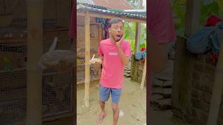 কোন বিপদ থেকে বাঁচালাম 😭🙏 কী ছিল পাখির খাবারে 😱 vlog minivlog comedy funny fun birds [upl. by Letniuq907]