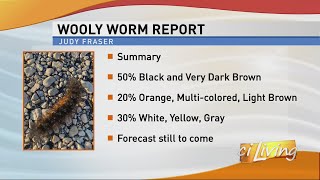 Wooly Worm Percentages [upl. by Ynohtona]