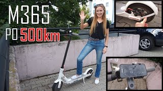 RECENZJA HULAJNOGI 🛴 OKIEM DZIEWCZYNY PO 500 KM 🧐 [upl. by Gauldin818]