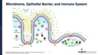 Current Understandings of the Role of the Gut in Autoimmune Diseases​ [upl. by Skricki]