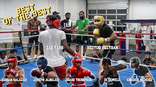 4K Sparring Footage Of The BEST Boxers In The USA Between 139203 LBS [upl. by Aloel]