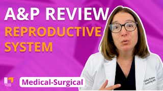 MS Reproductive System AampP Review [upl. by Natelson756]