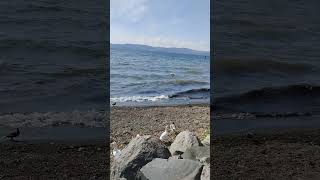 Lago di Bracciano song love musica travel romeitaly [upl. by Kariotta766]