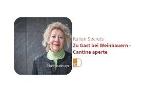 Zu Gast bei Weinbauern  Cantine aperte Italian Secrets in DNEWS24 [upl. by Nevet]