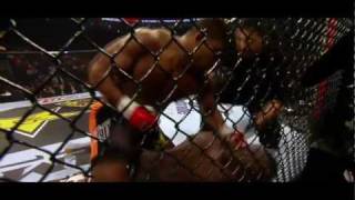 Alistair Overeem Highlights [upl. by Oryaj]