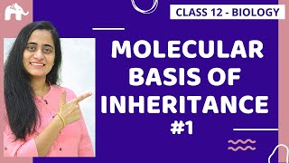 Molecular Basis of Inheritance Class 12 NCERT Chapter 6  CBSE NEET [upl. by Yeltihw]