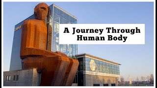 How The Body Works  A Journey Through Human Body at Corpus Museum Netherlands  Agent Knowledge [upl. by Yemorej]