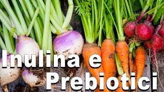 Inulina e Prebiotici [upl. by Clere]