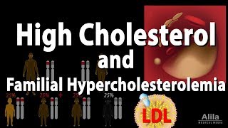 High Cholesterol and Familial Hypercholesterolemia Animation [upl. by Anerbes]