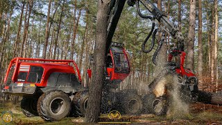 HOLZFÄLLER EXTREM Komatsu 931xc Harvester am Limit im Kampf gegen den Borkenkäfer I Waldsterben 2021 [upl. by Ellennod]