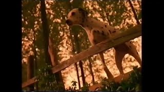 Pedigree Chum Dalmatians  Advert Commercial [upl. by Myrt231]