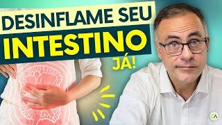 Como DESINFLAMAR seu INTESTINO em Poucos Meses [upl. by Suolekcin]