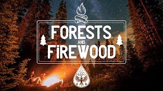 Forests amp Firewood 🔥  An IndieFolkPop Campfire Playlist 🏕️ [upl. by Dittman826]