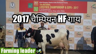 2017 Champion HF COW at pashu mela  10th National livestock Champinship amp expo in patiala पशु मेला [upl. by Corby782]