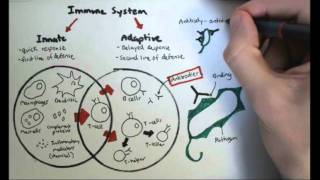 Malignant melanoma in hindi [upl. by Sneed]