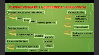 Periodoncia Ficha e Instrumental Periodontal Técnicas de Sondaje [upl. by Atelokin]