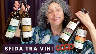 SFIDA tra VINI Marchio COOP Quasi LOW COST [upl. by Evania]