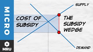 Subsidies [upl. by Gustafson]