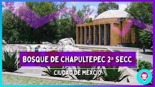 EL CÁRCAMO DE DOLORES 2021  Lugares que tienes que ver en la segunda Sección de Chapultepec CDMX [upl. by Hally]